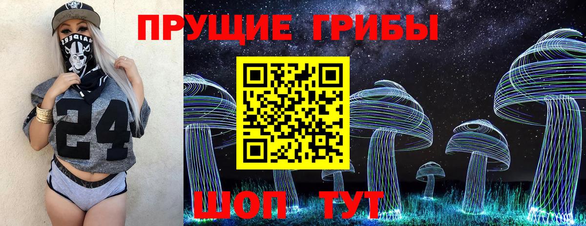 Галлюциногенные грибы GOLDEN TEACHER  Вход с VPN  как найти наркотики  Щёкино 